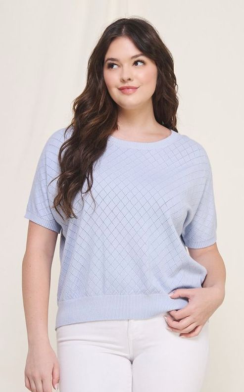 Soft Fine Argyle Short Sleeve Dolman, Color: Powder Blue, Size: X-Large
