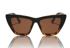 Windsor, Color: Black Tortoise + Brown Polarized