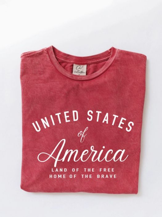 United States of America Mineral Graphic Top, Color: Cardinal, Size: Small