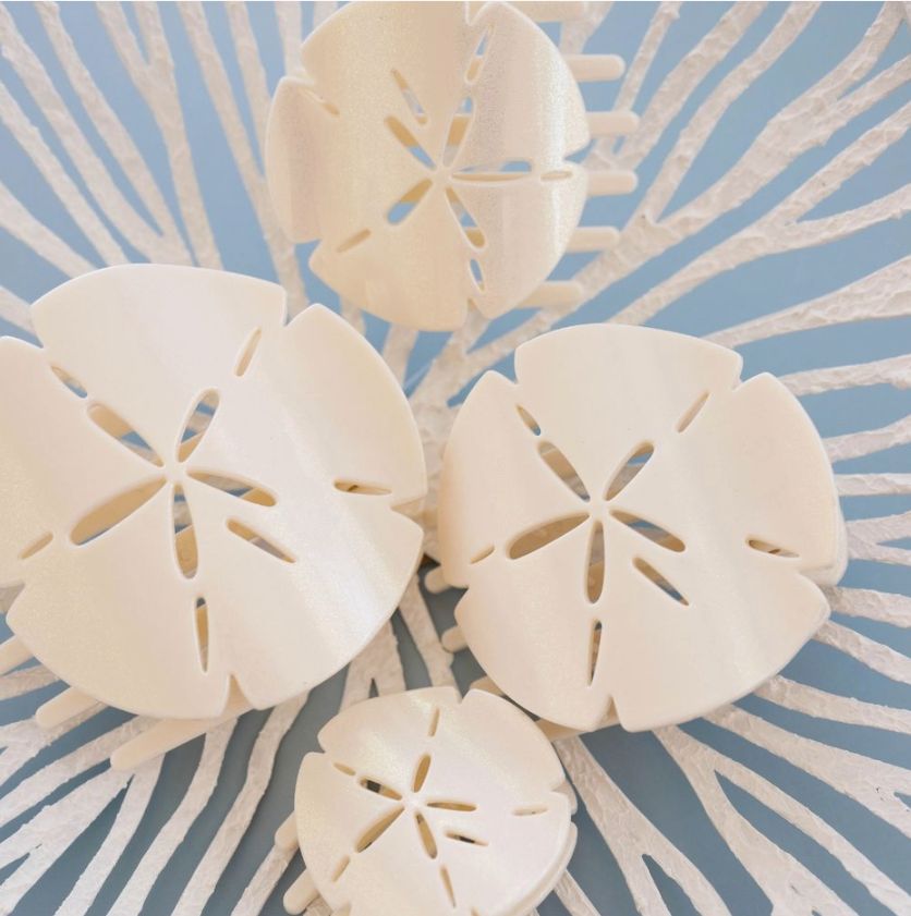 Sand Dollar | Large | Flat Shape Hair Clip