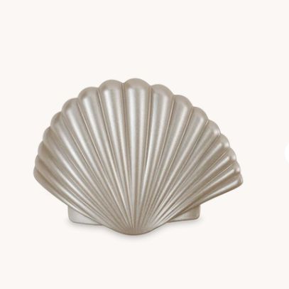 Small Shimmering Shell Hair Clip