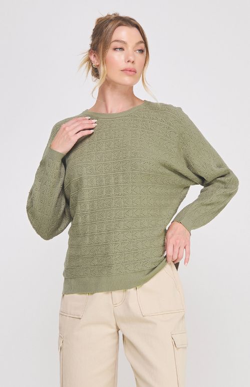 Fine Gauge Pointelle Dolman Ls Sweater, Color: Olive, Size: Small