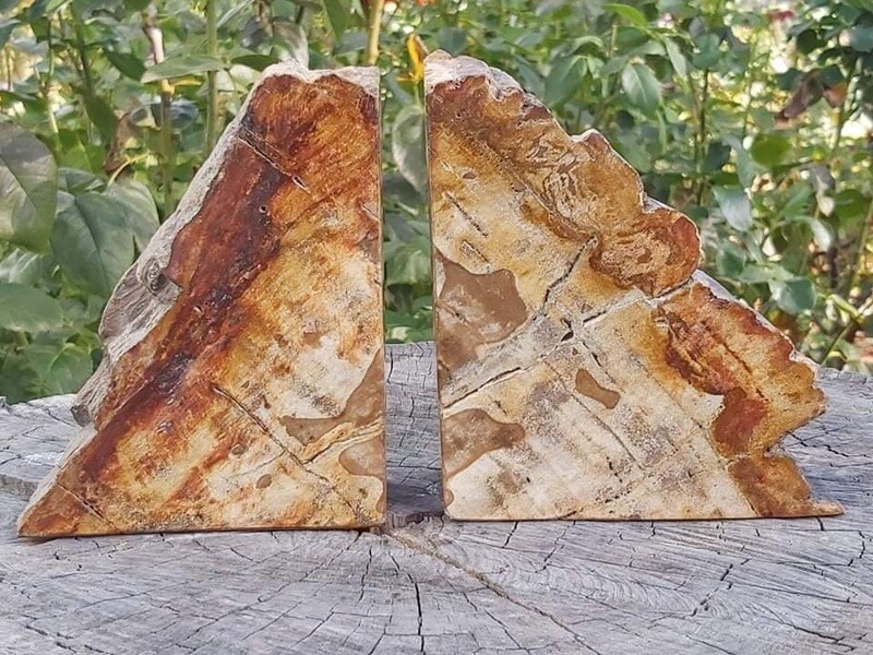 Petrified Wood Bookends. One has been repaired Petrified Wood Bookends. One has been repaired