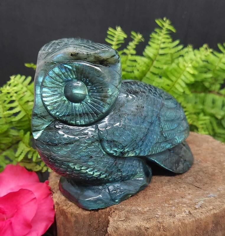 Labradorite Owl