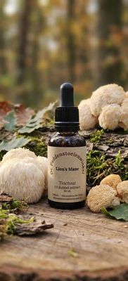 Lion's Mane Tinctuur (30ml)