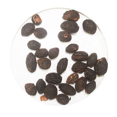 Saw Palmetto