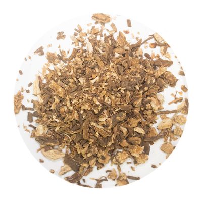 Angelica Root