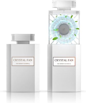 Portable Fan