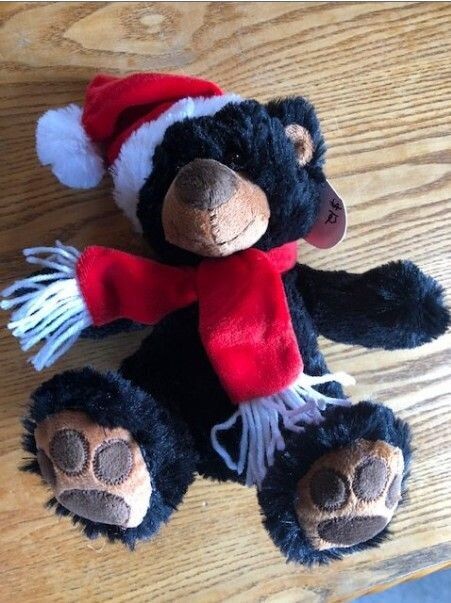 Santa Bear