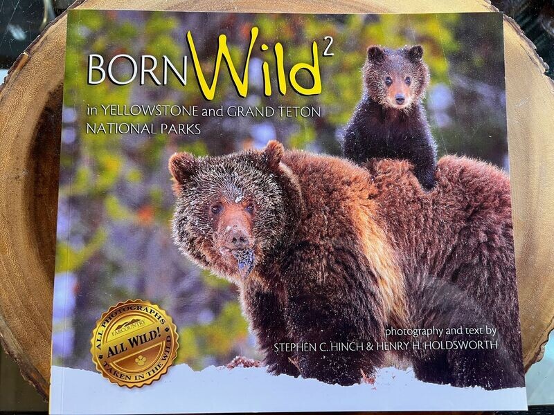 Born Wild 2