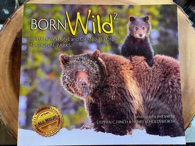 Born Wild 2