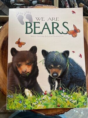 We Are Bears by Molly Grooms & Lucia Guarnotta