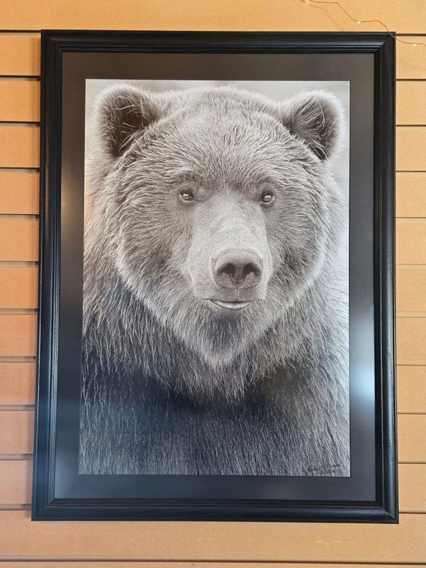 Framed Max Portrait by Rocky McPherson