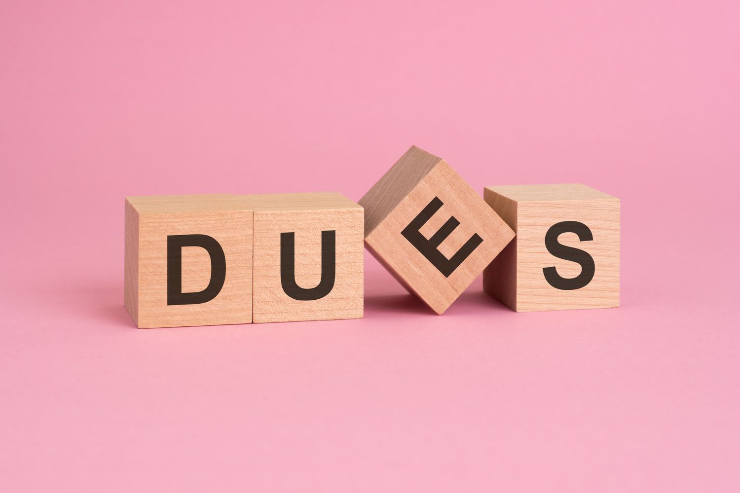 2026 Dues Payment - One Time Payment Option