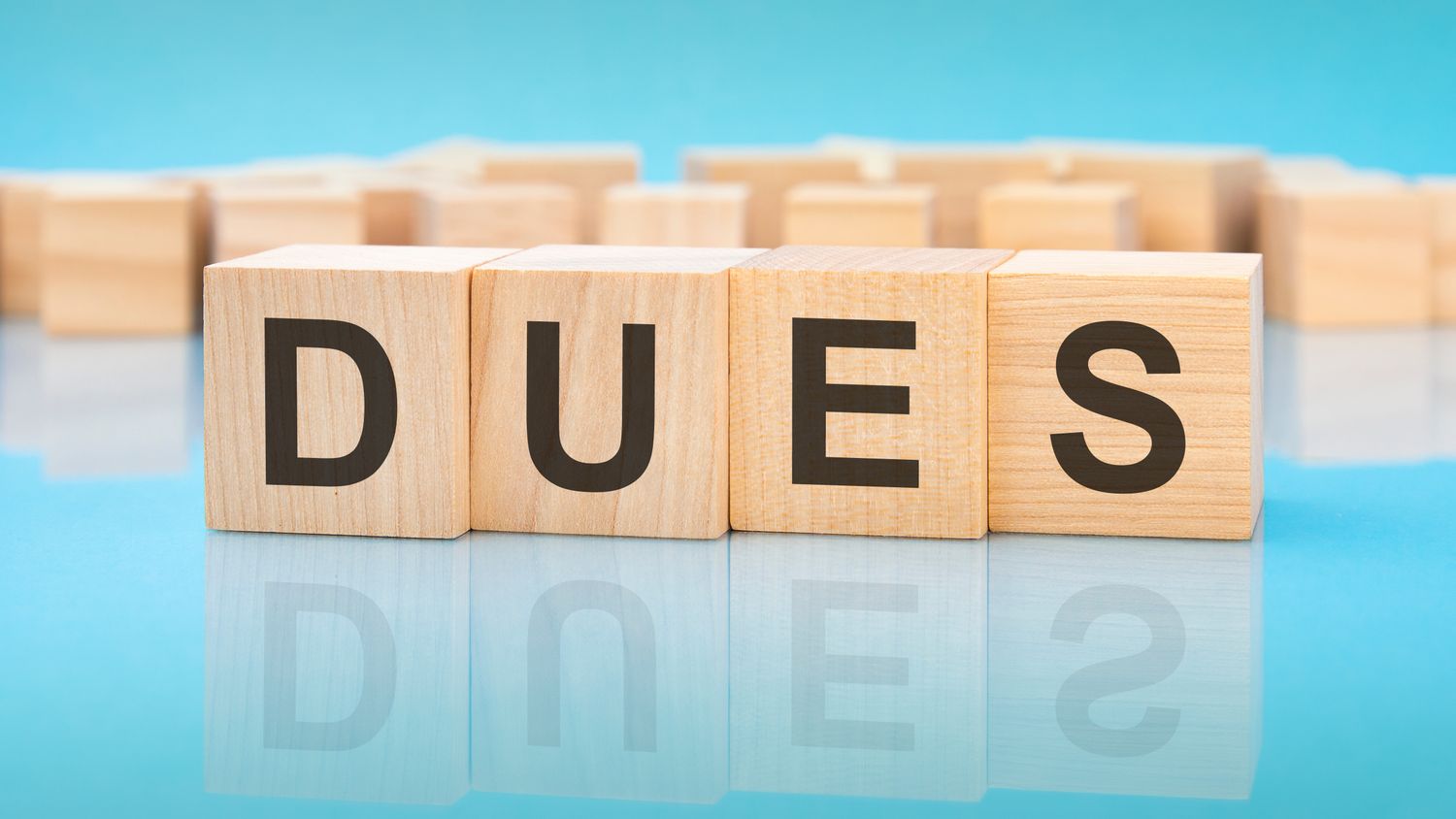 2025 Dues Payment - One Time Payment Option