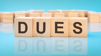 2025 Dues Payment - One Time Payment Option