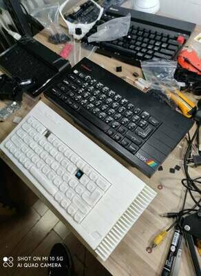 Toastrack case / ZX 48K+ case with profesional kailh linear and