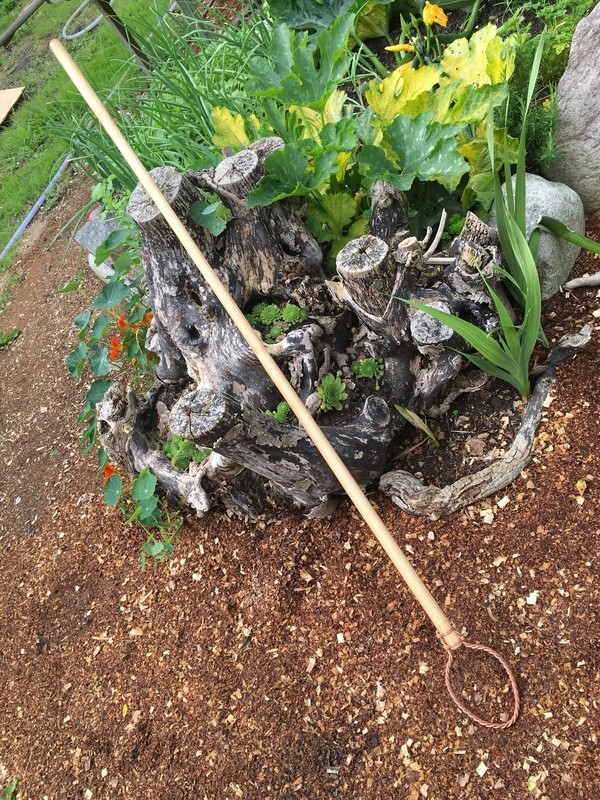 Gardenscepter, long shaft
