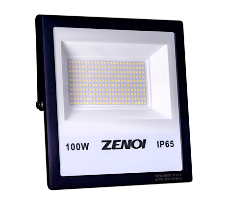 Zenoi LED 100W Flood Light