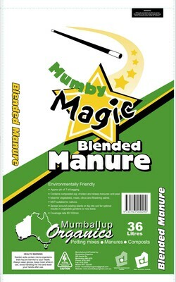 Mumby Magic