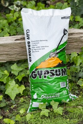 Gypsum