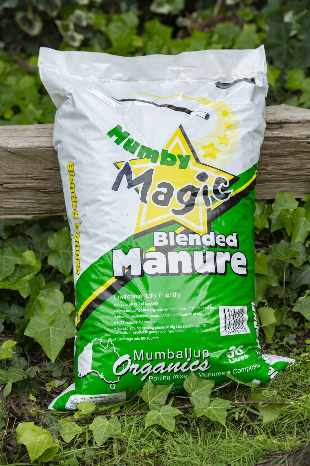 Mumby Magic