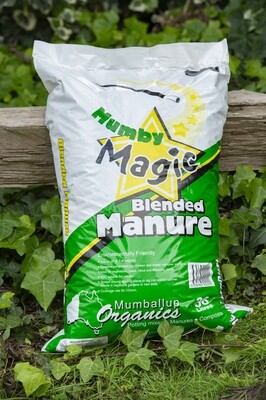 Mumby Magic