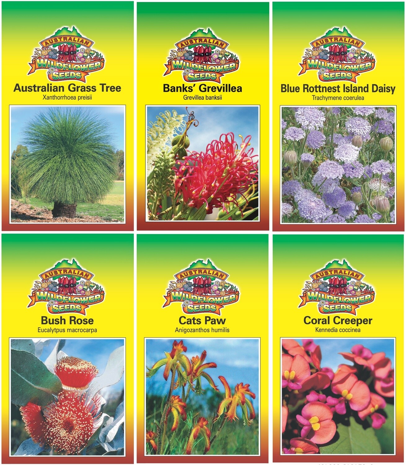 Wildflower Seed Sachet