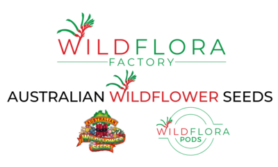 Wildflower Seeds
