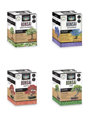 Bonsai Starter Kit