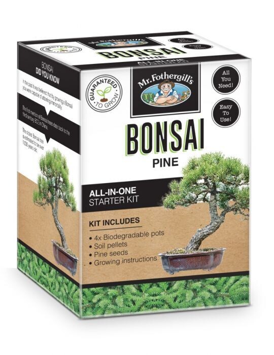 Bonsai Starter Kit, Option: Pine