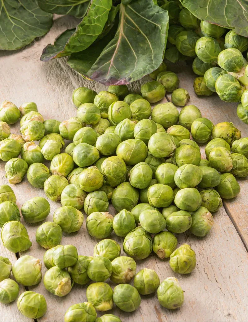Brussels Sprouting Seeds