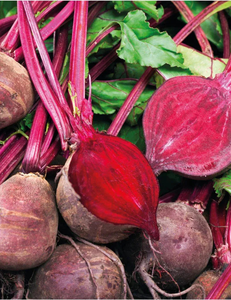 Beetroot Seeds