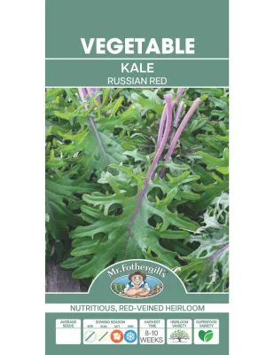 Kale Seeds