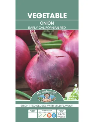 Onion Seeds