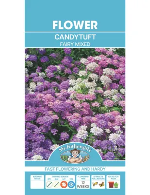 Candytuft Seeds