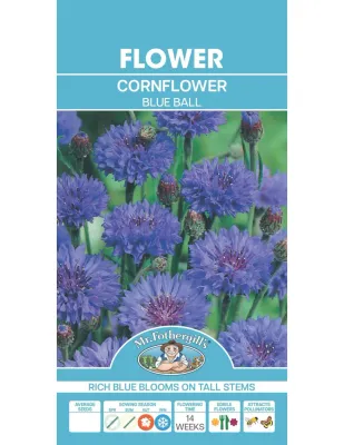 Cornflower Seeds