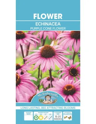 Echinacea Seeds