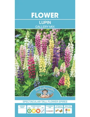 Lupin Seeds