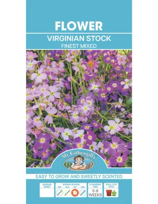 Virginian Stock Seeds