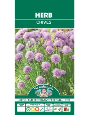 Chive Seeds