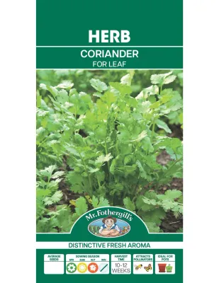 Coriander Seeds
