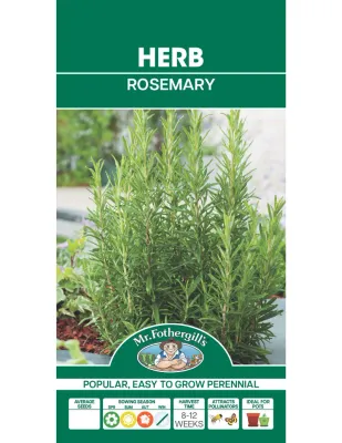 Rosemary Seeds
