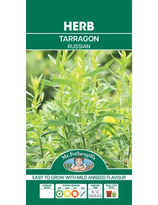 Tarragon Seeds - Russian