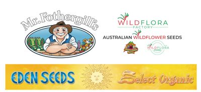 Seed Collection