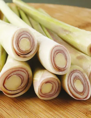 Lemon Grass