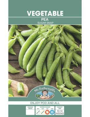 Pea