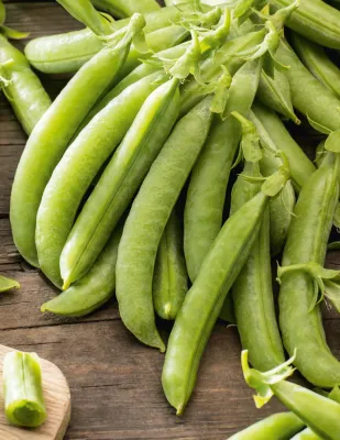 Pea