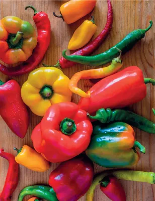 Capsicum Seeds