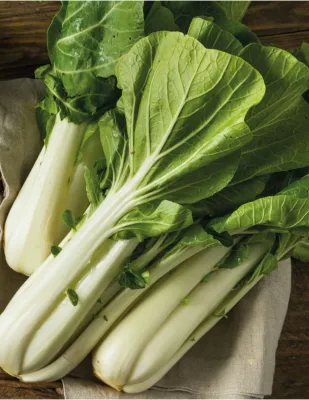 Pak Choi Seeds